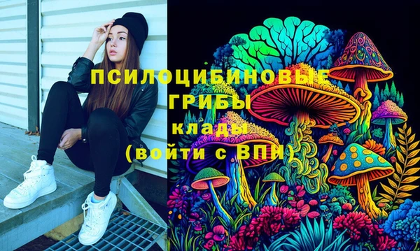 мескалин Арсеньев